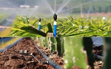 【對話創業者】廣西捷佳潤科技股份 用信息技術為農業插上輕松快樂的翅膀