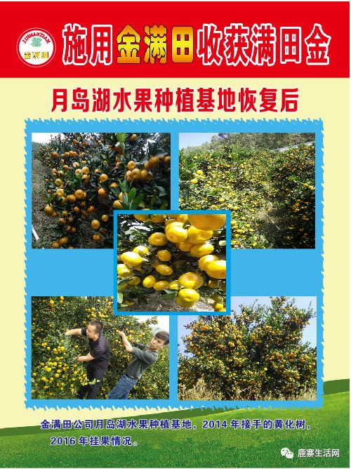 是什么讓這個基地碩果累累？鹿寨柑橘大咖現場授課，誠邀您來參加